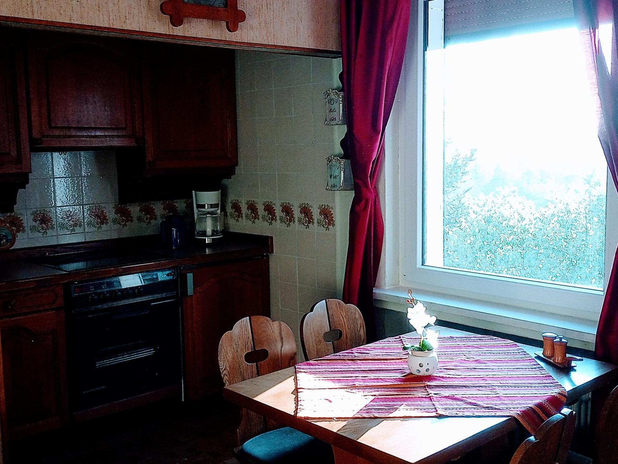 Ferienwohnung Endora Im Harzer Stil, Handgefertigte Moebel - Wlan-Garage Hohegeiß Εξωτερικό φωτογραφία